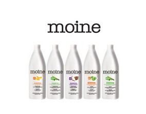MoineShLitro.jpg